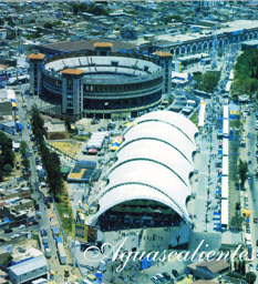 Aguascalientes PostCard