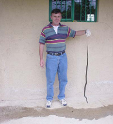 snake